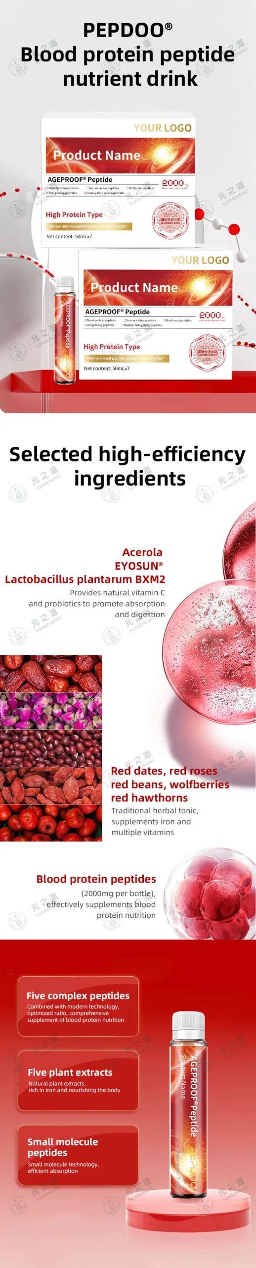 Visual summary of the Blood Protein Peptide Nutrient Drink, featuring key peptides, herbal components, and core wellness benefits.