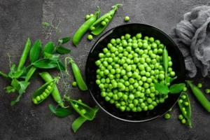Green peas used for PEPDOO® pea peptide – natural plant protein source