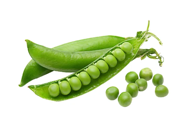 Whole green peas as a natural plant protein source for pea peptide production