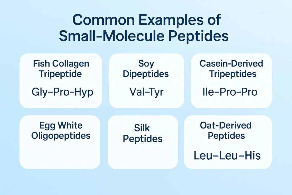 Common examples of small-molecule peptides in nutrition and health