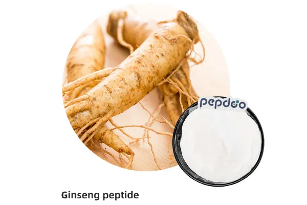 Dried Panax ginseng roots and ginseng peptide powder displayed on a wooden surface, representing PEPDOO® Ginseng Peptide ingredient
