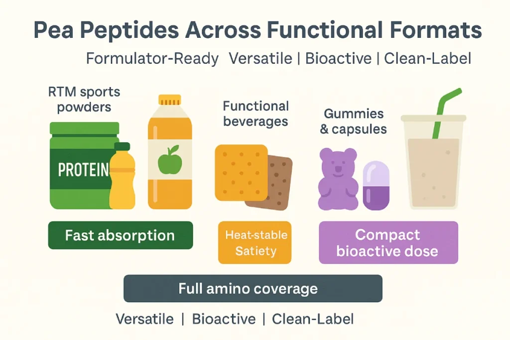 Infographic showing various application types for pea peptides including sports powders, functional beverages, snacks, gummies, and meal shakes, with highlighted benefits like bioactivity, satiety, and clean-label compatibility