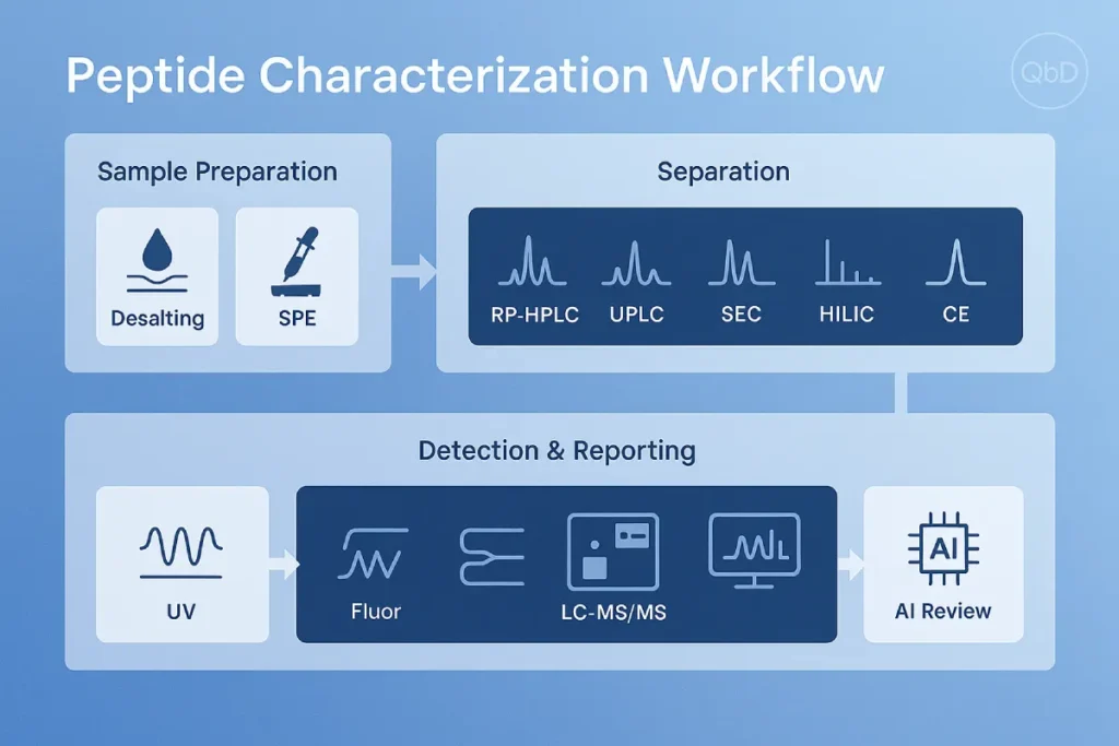 Infographic of peptide characterization workflow from sample preparation to LC‑MS/MS detection