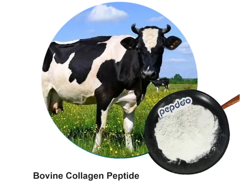 Yak bone-derived collagen peptide powder supporting joint health and collagen synthesis.