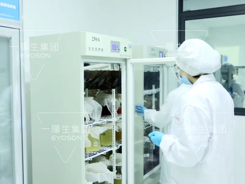 Research team conducting peptide-related experiments in EYOSON’s modern laboratory.