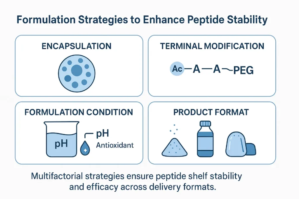 Diagram illustrating formulation strategies to enhance peptide stability: microencapsulation, peptide terminal modification, formulation condition control, and product form examples.