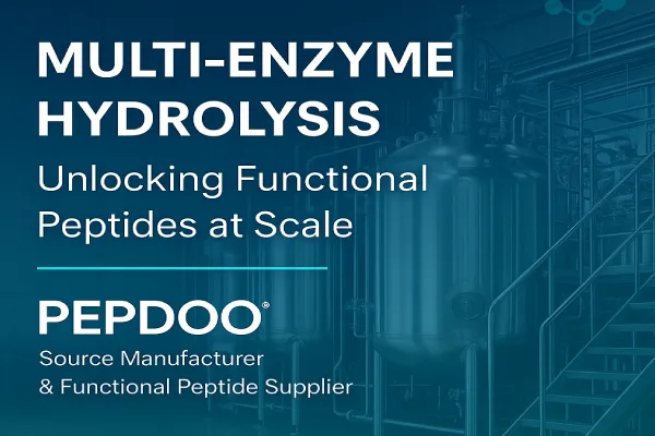 Industrial‑scale multi‑enzyme hydrolysis bioreactor producing functional peptides – PEPDOO®