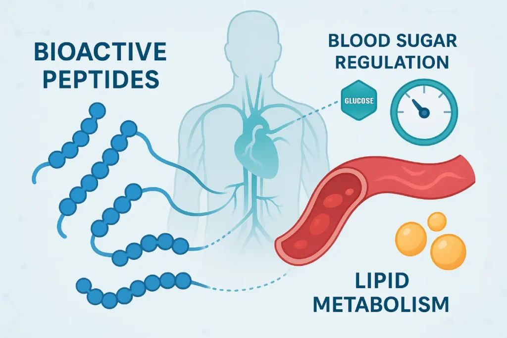 Scientific visualization of bioactive peptides targeting metabolic syndrome pathways including blood sugar regulation, blood pressure control, and lipid metabolism