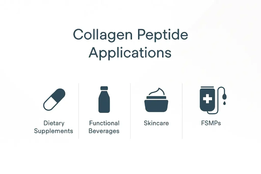 Collagen peptide applications in functional foods, dietary supplements, and skincare products for B2B partners
