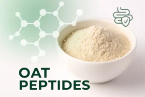 Oat peptides for gut health and multifunctional nutrition, representing plant-based functional peptides for B2B product development