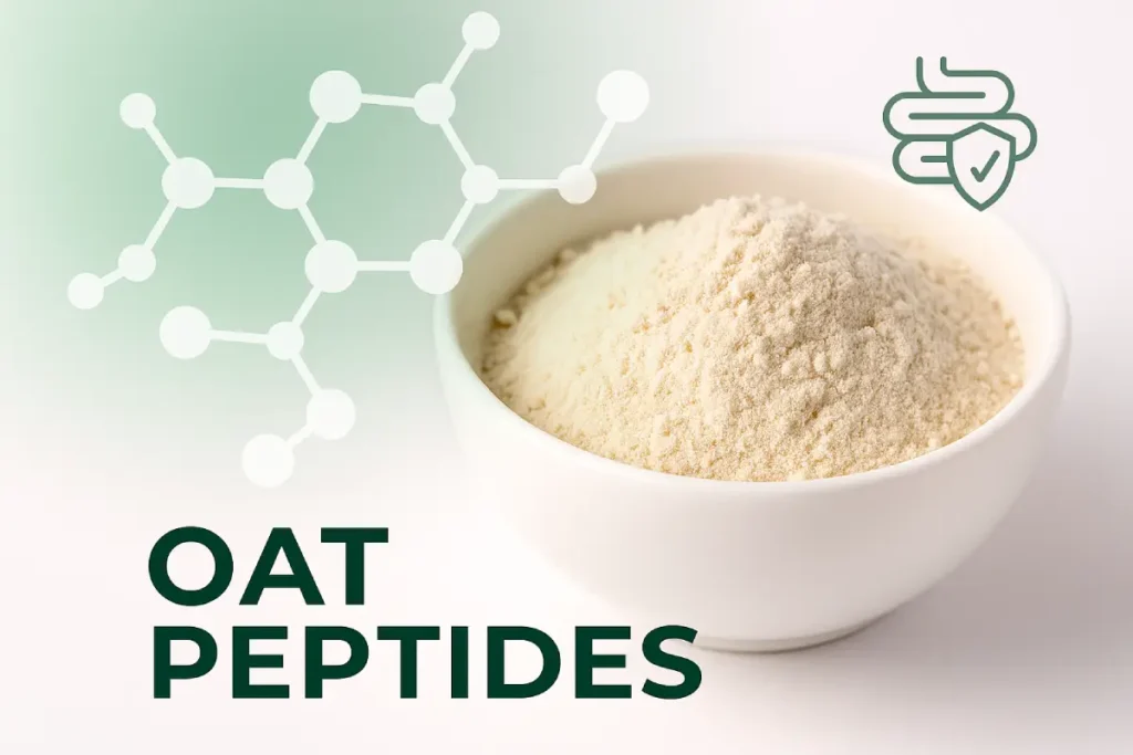 Oat peptides molecular structure and their role in promoting gut health and microbiome balance for B2B functional nutrition.