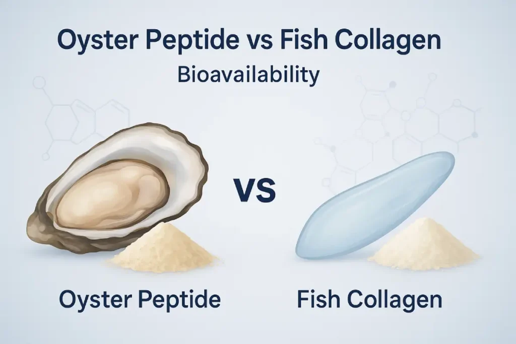 Comparison of oyster peptide and fish collagen for bioavailability and functional nutrition in B2B supplements