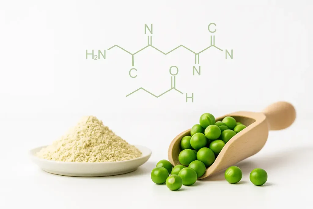 Pea peptides as a plant-based protein solution for functional nutrition and metabolic health