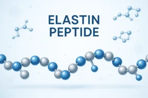 Abstract digital illustration of elastin peptide molecular chains and connective tissue, highlighting scientific and functional benefits for nutricosmetic applications.