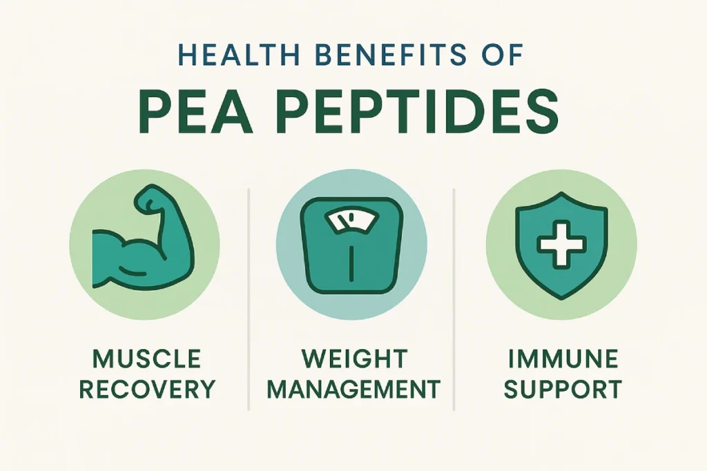 Functional benefits of pea peptides for muscle recovery, weight management, and immune support