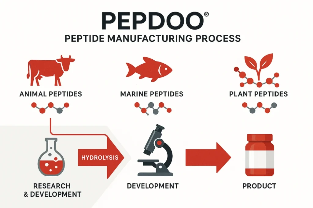 PEPDOO® full-range peptide manufacturing and R&D capabilities, highlighting patented small-molecule peptides, advanced production technologies, and B2B solutions.
