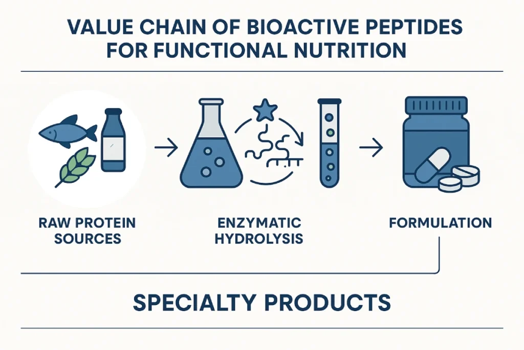 Visualization of the bioactive peptide value chain from raw materials to specialty ingredients for functional nutrition products