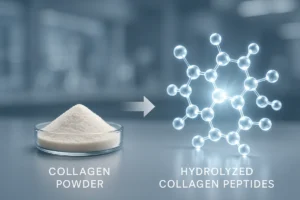 Transition from collagen powder to hydrolyzed collagen peptides for B2B supply by PEPDOO® manufacturer.