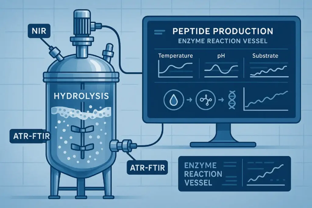Process Analytical Technology (PAT) sensors and data integration in enzymatic hydrolysis for real-time peptide monitoring